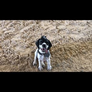 Meet your Posher, Ismael